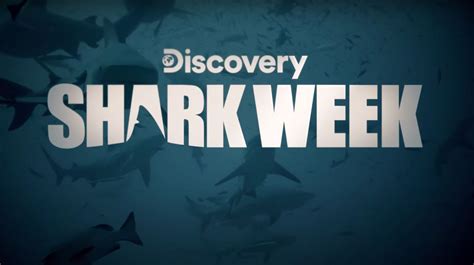Shark Week Schedule How To Watch On TV Streaming And Full List Of Shows Syracuse Com