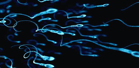 the biggest sperm come in the smallest packages and other odd facts about male sex cells