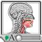 Painful swallowing: MedlinePlus Medical Encyclopedia
