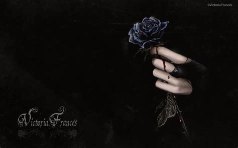 Download Romantic Love Blood Rose Dark Gothic Hd Wallpaper By Victoria