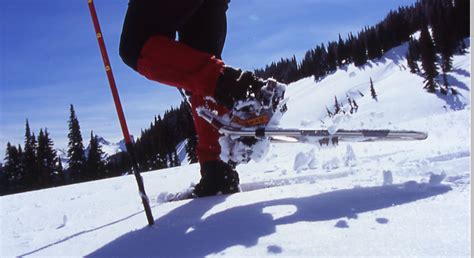 First Timers Guide To Snowshoeing Snowshoe Magazine