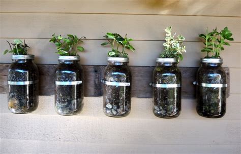 8 Ways To Create Your Own Herb Garden Reliable Remodeler