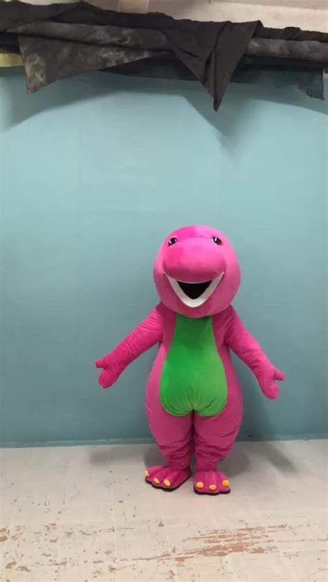 Funtoys Ce Adult Barney Costume Rental For Adults Plush The Dinasor