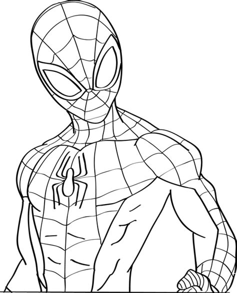 Dibujos Para Colorear E Imprimir Spider Man