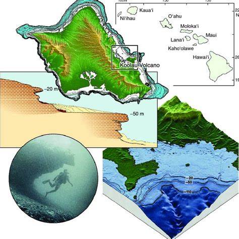 Pdf Geology Of Hawaii Reefs