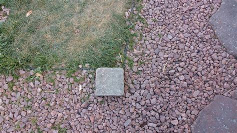 I am completely resodding my lawn and putting in pavers like this picture. Which lawn paver edging should I use? : landscaping