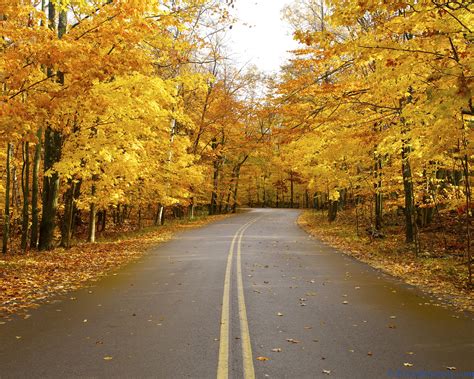 10 Wisconsin Drives For Maximum Fall Foliage Viewing