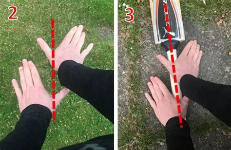 Learn How To Hold Bat In Cricket Correctly Cricket Tips Types Of Grip
