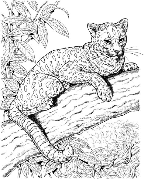 A Black And White Drawing Of A Leopard Laying On A Tree Branch In The