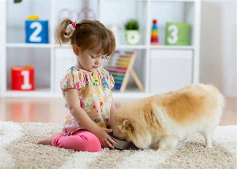 4 Benefits Why Kids Need Pets Mommy Evolution