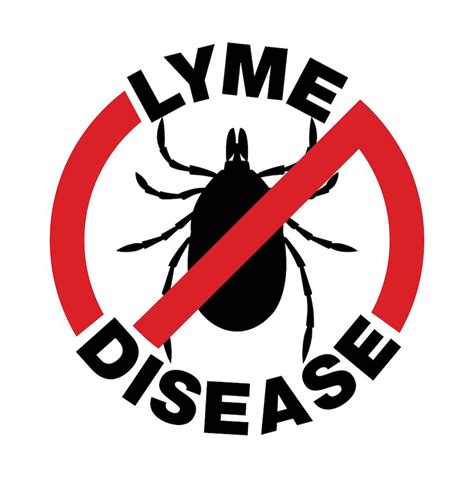 Lyme Disease Is A Dangerous Disease And It Can Be Carried By Ticks