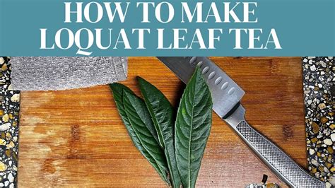 Loquat Leaf Tea Processing Leaves And Making Tea Youtube