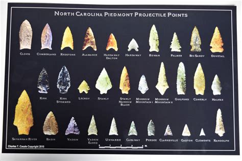 Nc Piedmont Projectile Points Poster Aurora Fossil Museum Store