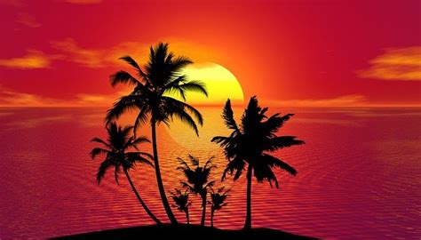 Jpeg algorithm is capable of compressing the image as lossy and lossless. Tropical Summer Sunset - Free image on Pixabay