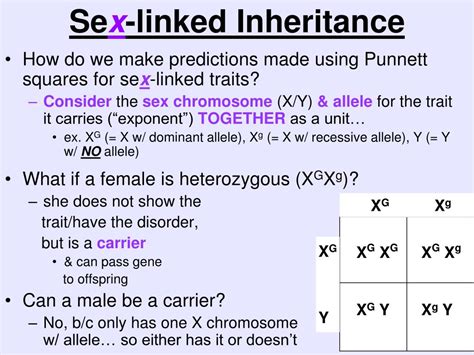 (it is conventional in genetics to use capital letters to indicate dominant alleles and. PPT - Unit 8: Genetics & Heredity PowerPoint Presentation ...