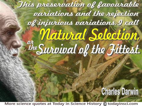 charles darwin quote this…i call natural selection or the survival of the fittest large image