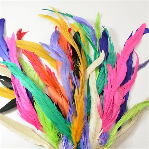 25 30pcs Rooster Tail Feathers Multi Color Pack Etsy