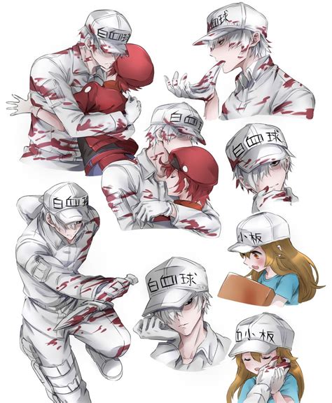 Platelet White Blood Cell Red Blood Cell Ae And U Hataraku Saibou Drawn By