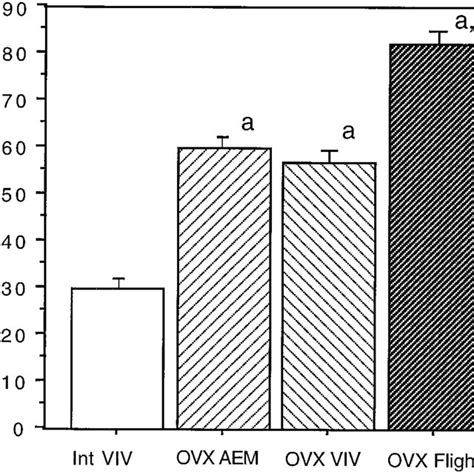 Cancellous Static Bone Measurements Download Table