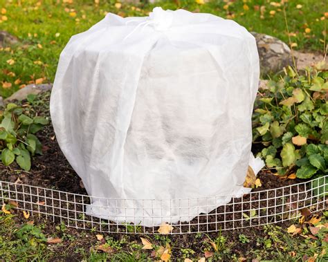 How To Protect Plants From Frost 10 Quick And Easy Methods Homes