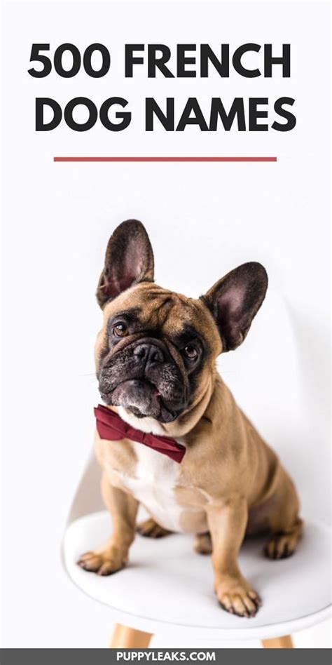 Today the french bulldog is the sixth most popular dog breed in the united states, with people ideas for french bulldog names don't stop here. 500 French Dog Names | French dog names, French dogs, Dog ...