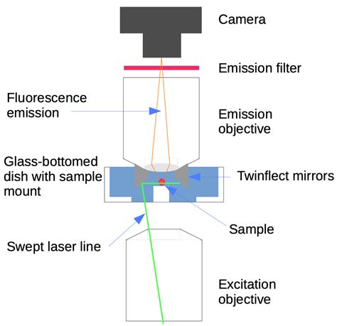 Light Sheet Microscopy Advantages Shelly Lighting