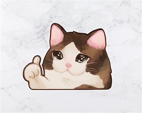 Thumbs Up Sad Cat Meme Ok Cat 3 Sticker Meme Lolcat Mushimoo