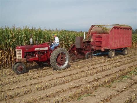 Chopping Corn With Ih 20 C Field H Yesterdays Tractors
