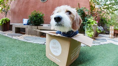 Better for them, easier for you. Subscription meal business The Farmer's Dog is for dogs ...