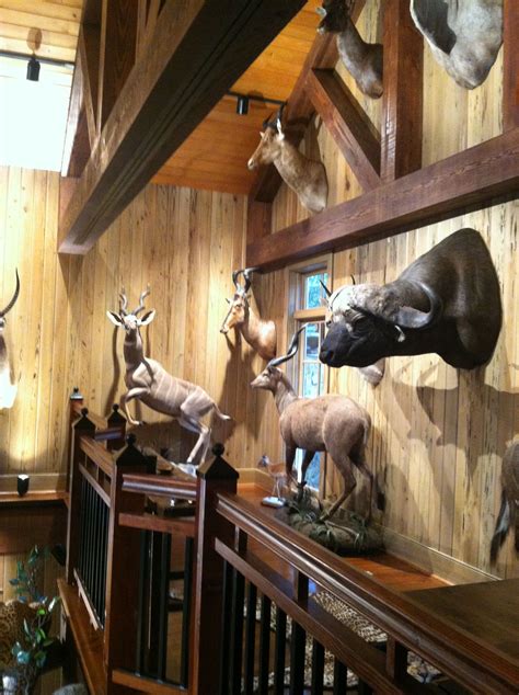 Trophy Room Wall Trophy Rooms Hunting Room Safari Room