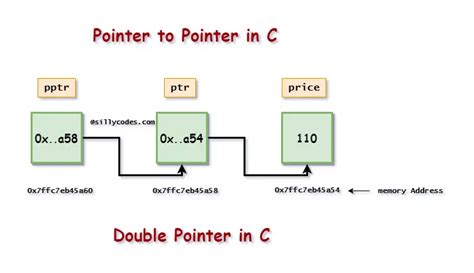 Pointer To Pointer In C Double Pointer In C Sillycodes