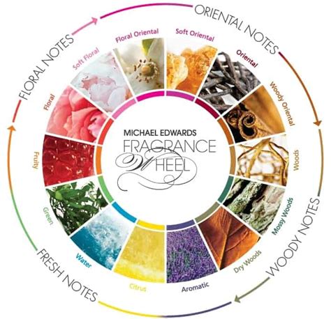 Fragrance Families Explained Easily And Simply Everfumed Fragrance