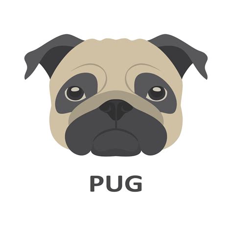 Vector Illustration Of Pug In Flat Style 616566 Vector Art At Vecteezy
