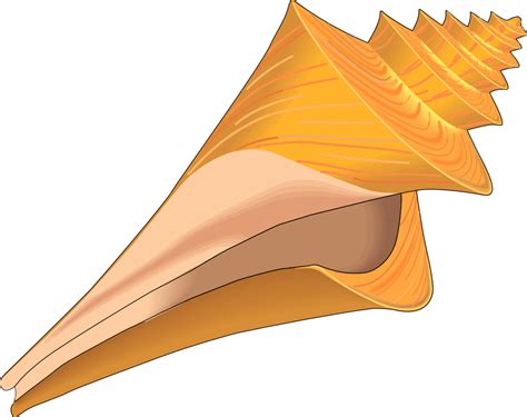 Seashells Clipart Clipart Best