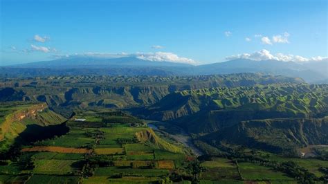 The Beauty Of Bukidnon Reddoorz Blog