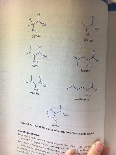 1 Amino Acids Peptides And Proteins Flashcards Quizlet