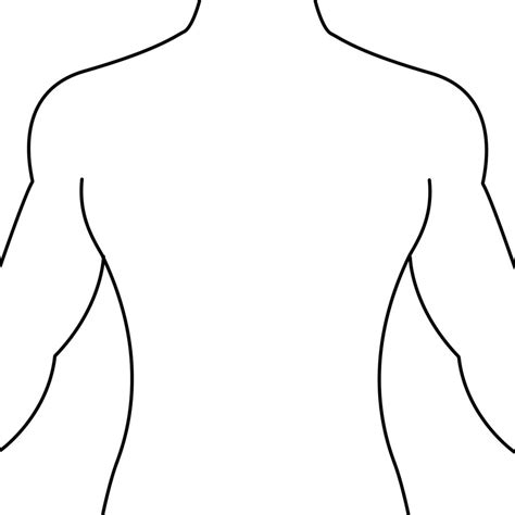 Outline Of Female Body Cliparts Co