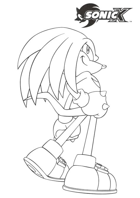 Knuckles the echidna is a main character from the sonic the hedgehog series. Kunckles The Echidna - Free Coloring Pages
