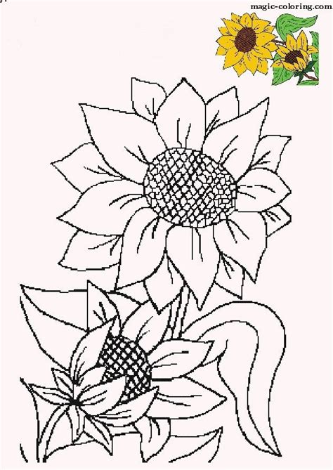 Download MAGIC-COLORING | Sunflower Coloring pages | Sunflower coloring pages, Sunflower art, Coloring pages