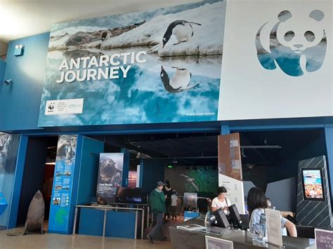 Nobbies Ocean Discovery Center The Antarctic Journey Melbourne