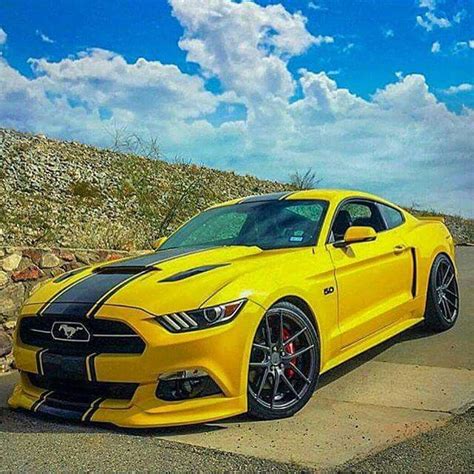 Black And Yellow 50 Mustang Old Ford Mustang Shelby Gt Mustang
