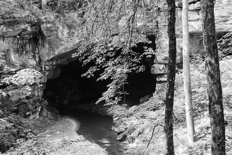 Black And White Photograph Of A Cave Mouth In The Deep Woods Black