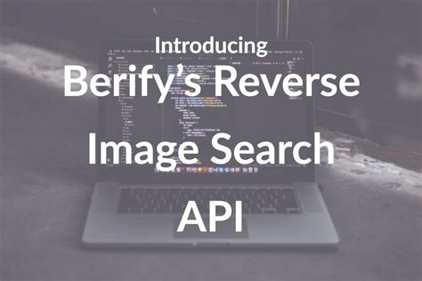 Introducing The Best Reverse Image Search Api Berify