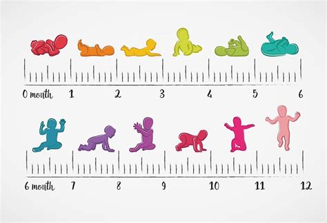Fetal Development Chart By Month A Visual Reference Of Charts Chart