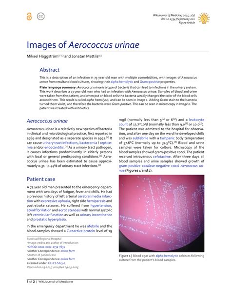 Pdf Images Of Aerococcus Urinae
