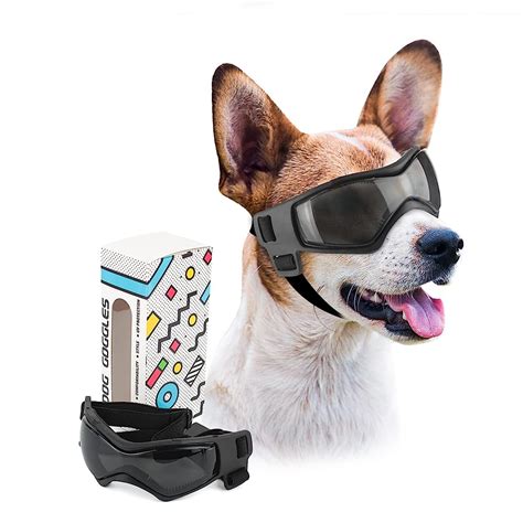 6 Best Dog Eye Goggles And Sunglasses