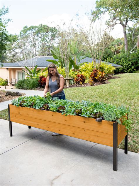 Self Watering Elevated Cedar Planter Box Eco Stain 2x8
