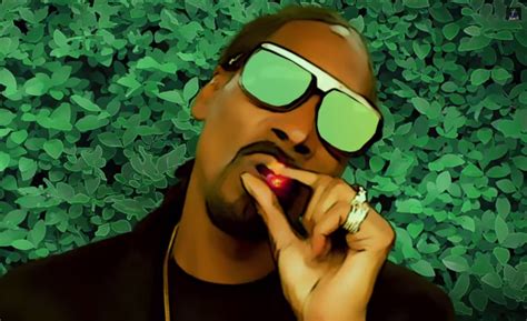 Snoop Dogg Feat Stevie Wonder California Roll Video Rapde
