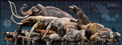 Edad De Hielo Prehistoric World Prehistoric Creatures Megafauna