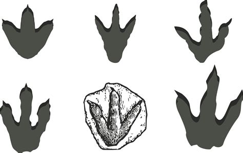 Dinosaur Footprint Clipart Transparent Background And Other Clipart Images And Photos Finder